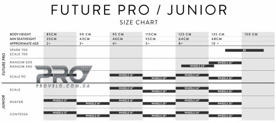 Scott Scale 20 rigid 2024