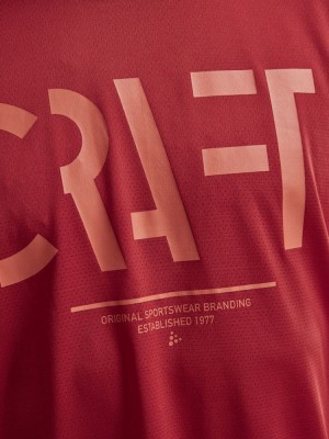 Спортивная футболка Craft Eaze Mesh Tee 1907018-432000
